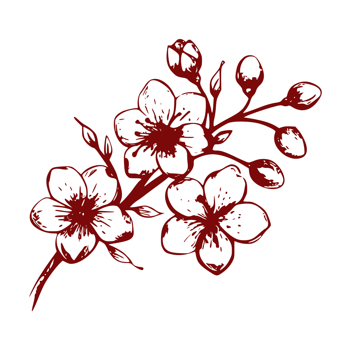 Цветущая сакура